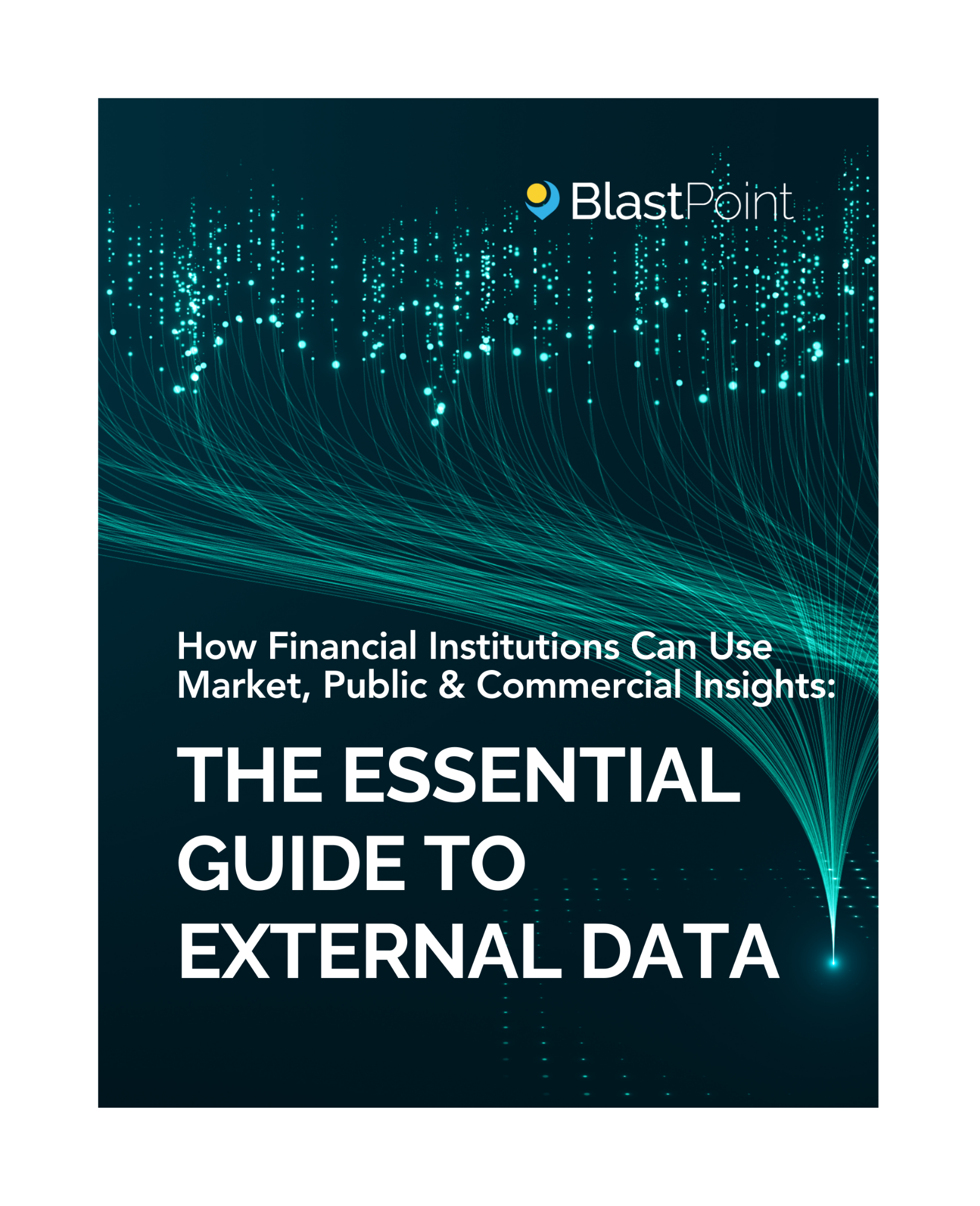 The essential guide to external data