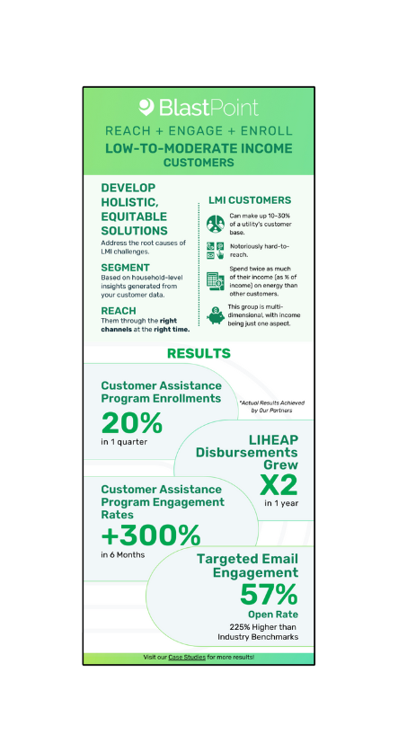 LMI Customers_Infographic